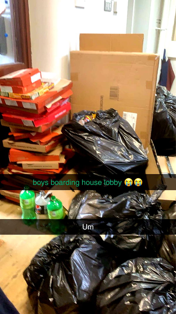 c.aitknight image ~ Altpins