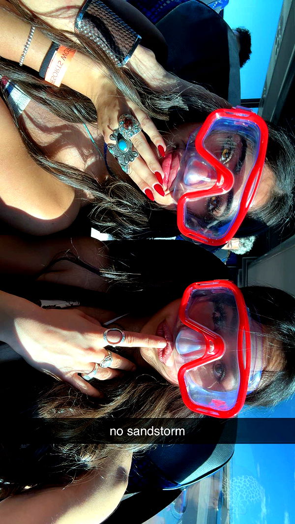 c.aitknight image ~ Altpins