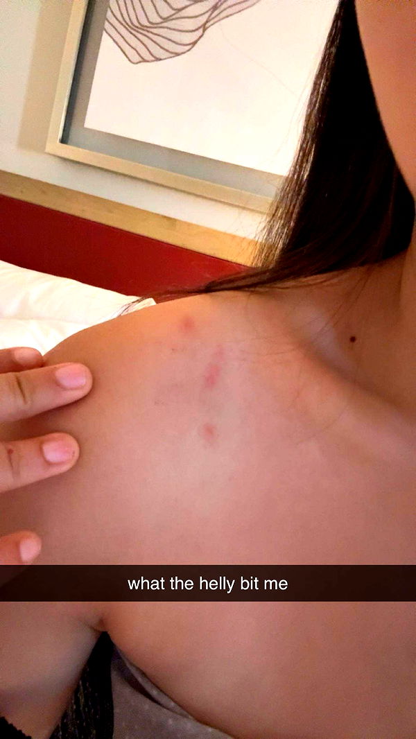 c.aitknight image ~ Altpins