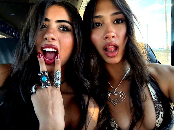 c.aitknight image ~ Altpins