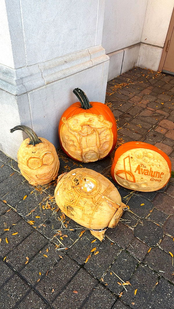 c.aitknight image ~ Altpins