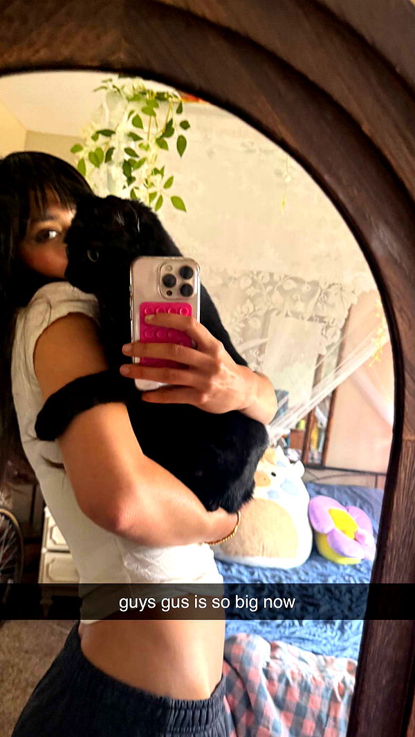 c.aitknight image ~ Altpins