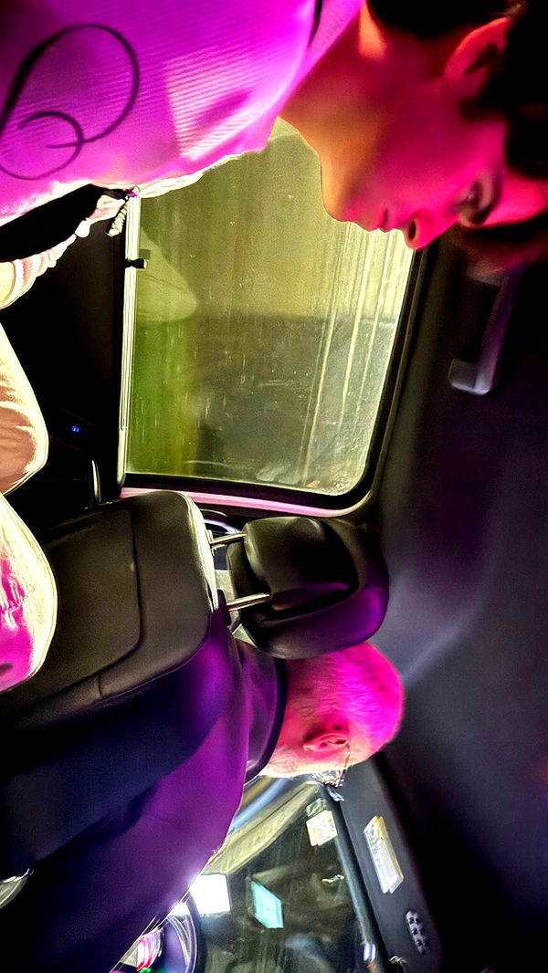 c.aitknight image ~ Altpins