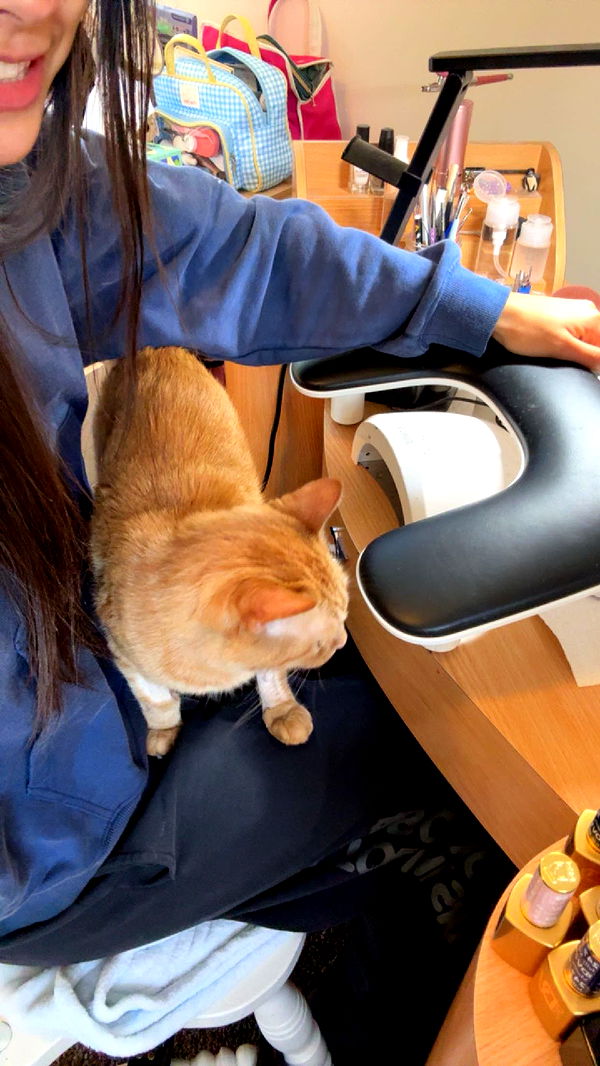 c.aitknight image ~ Altpins