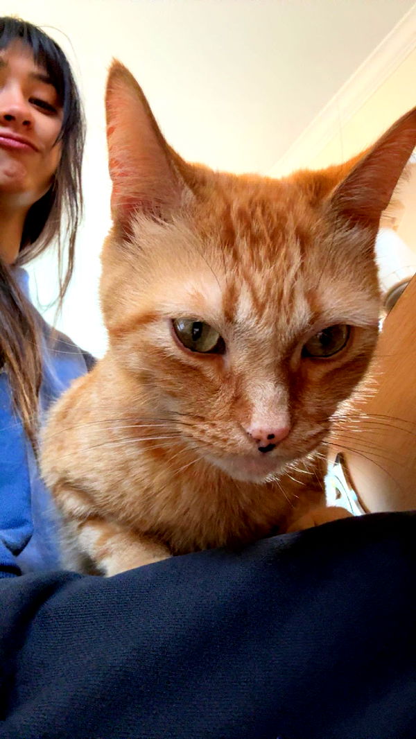 c.aitknight image ~ Altpins