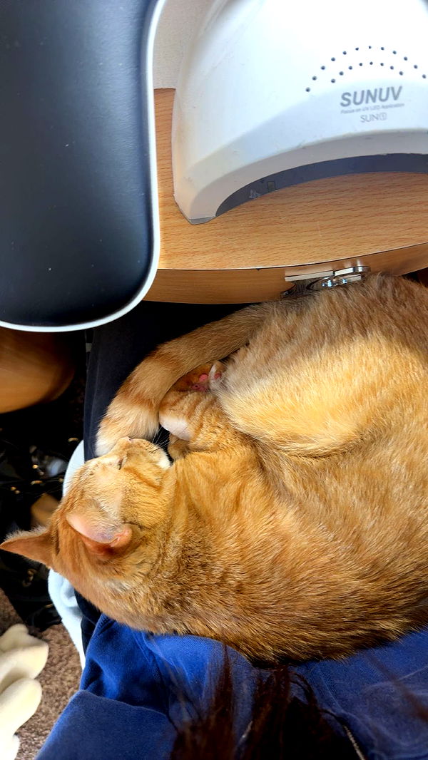 c.aitknight image ~ Altpins