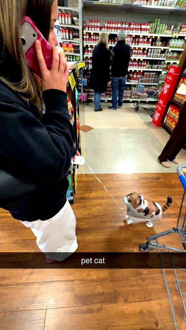 c.aitknight image ~ Altpins