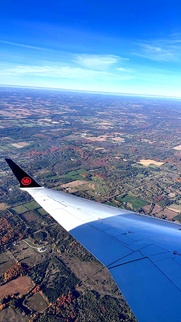 c.aitknight image ~ Altpins