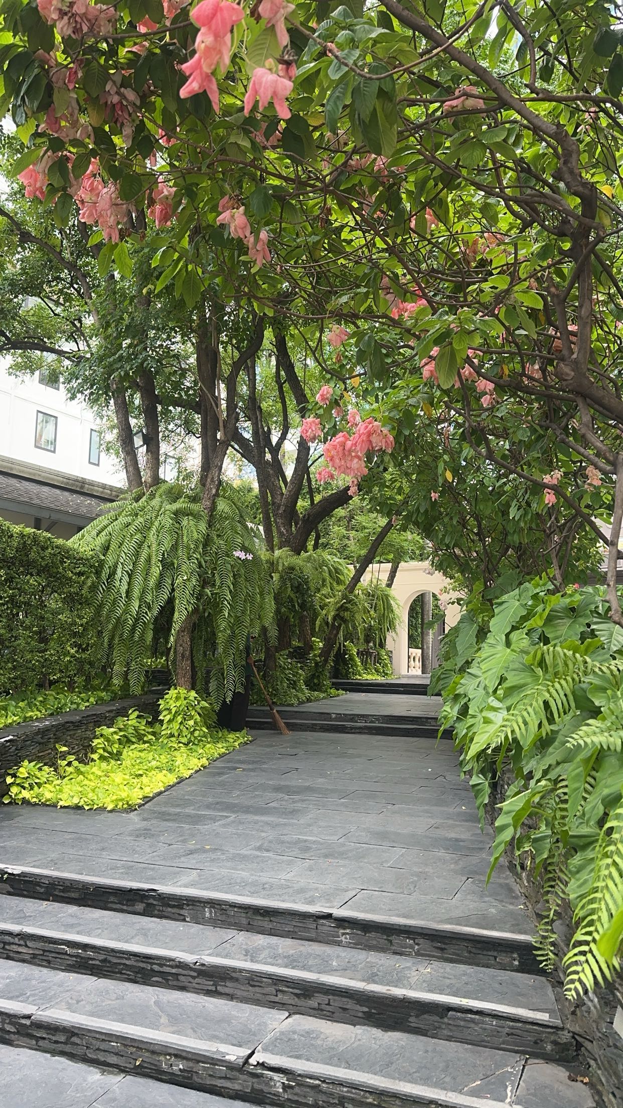 c.aitknight snapchat image archive image