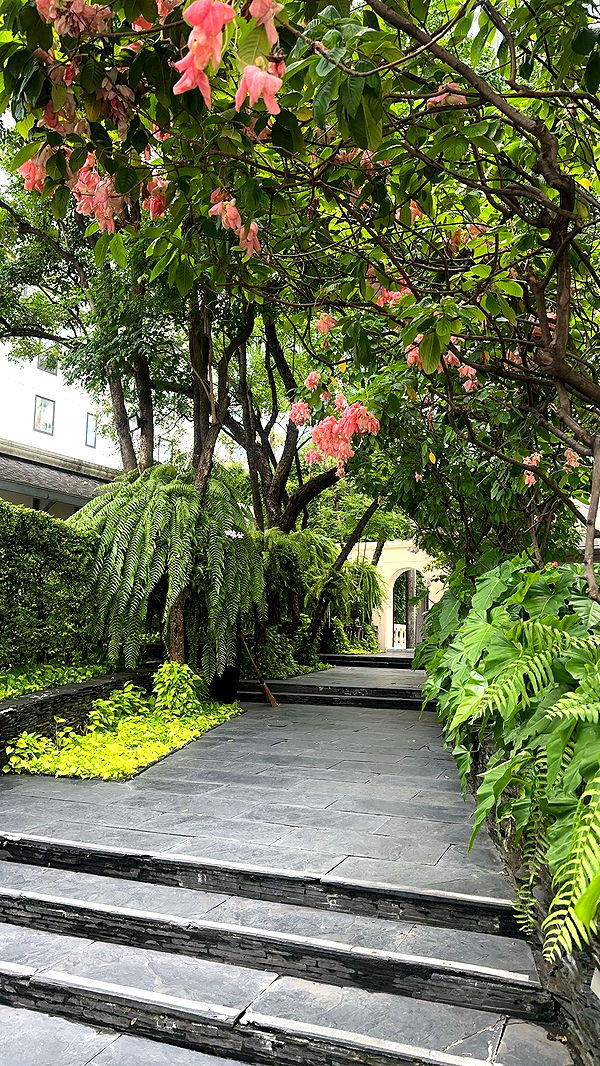 c.aitknight image ~ Altpins