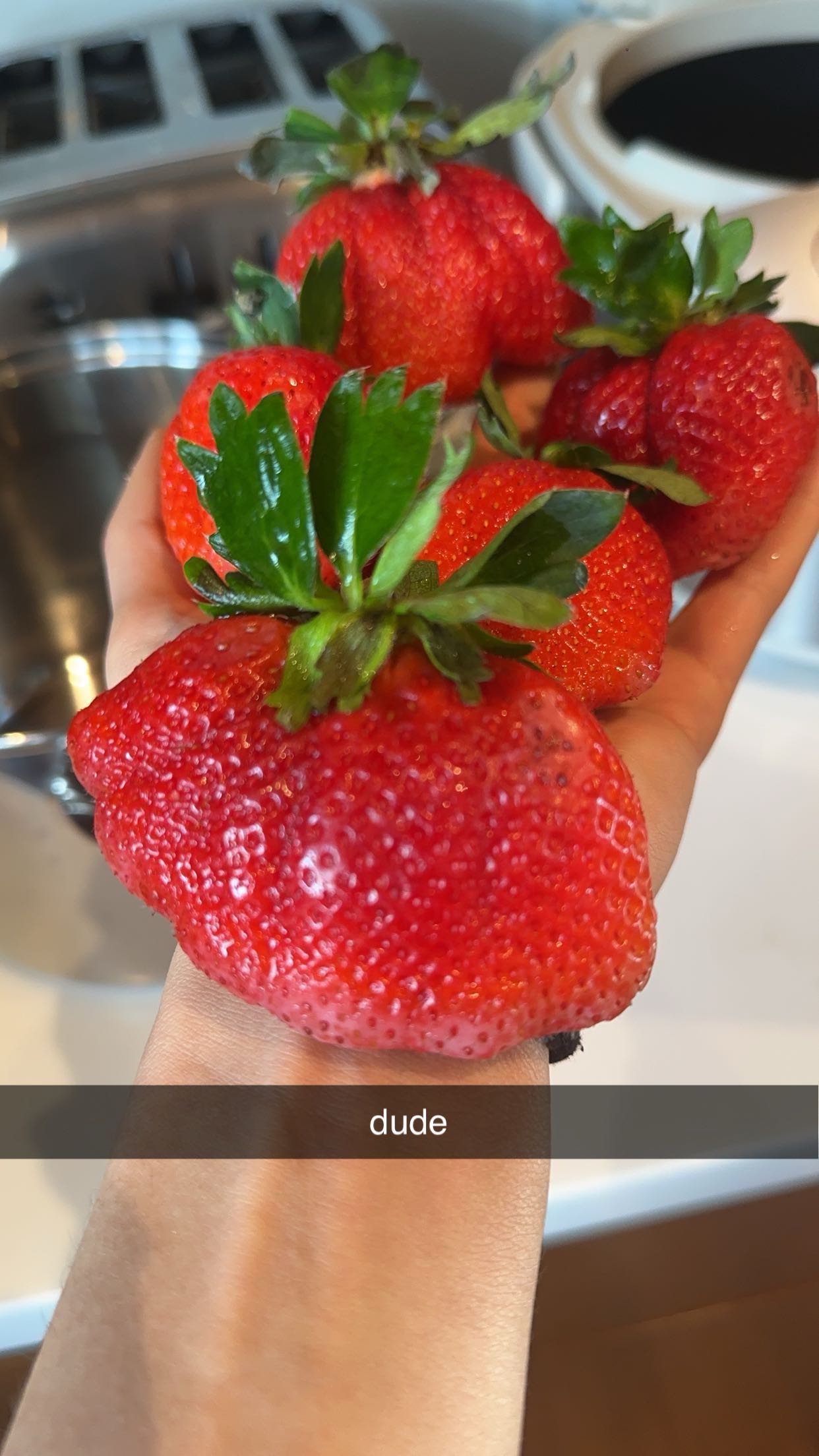 c.aitknight snapchat image archive image