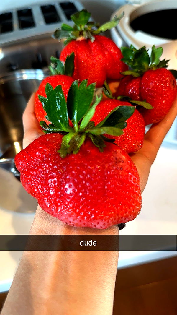 c.aitknight image ~ Altpins