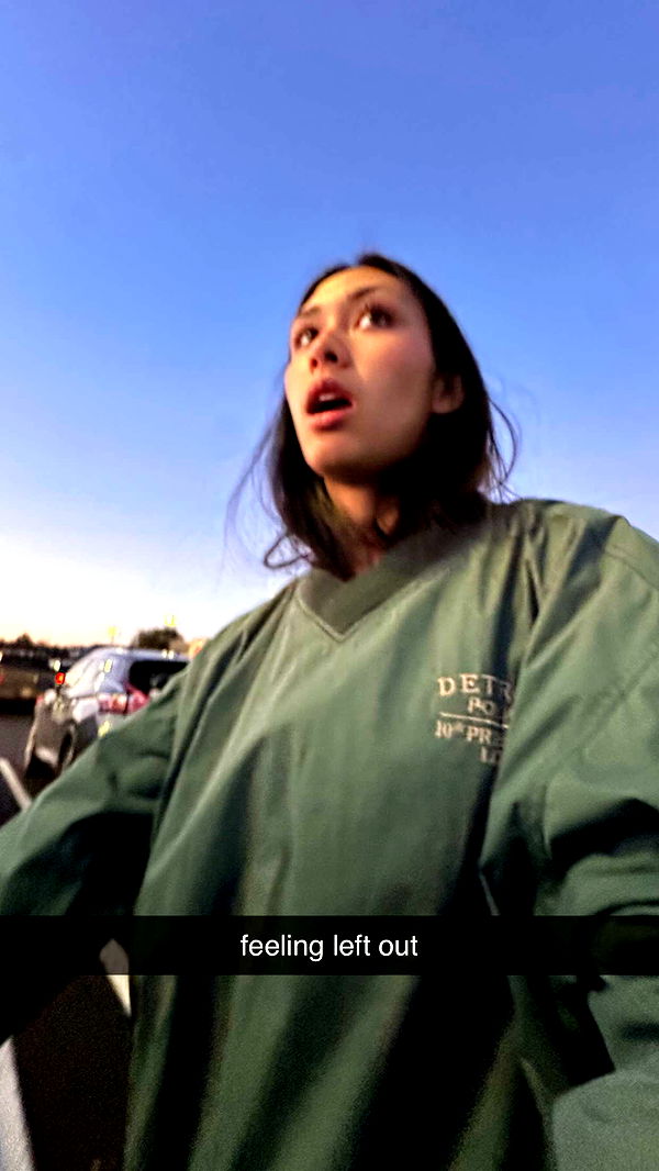 c.aitknight image ~ Altpins