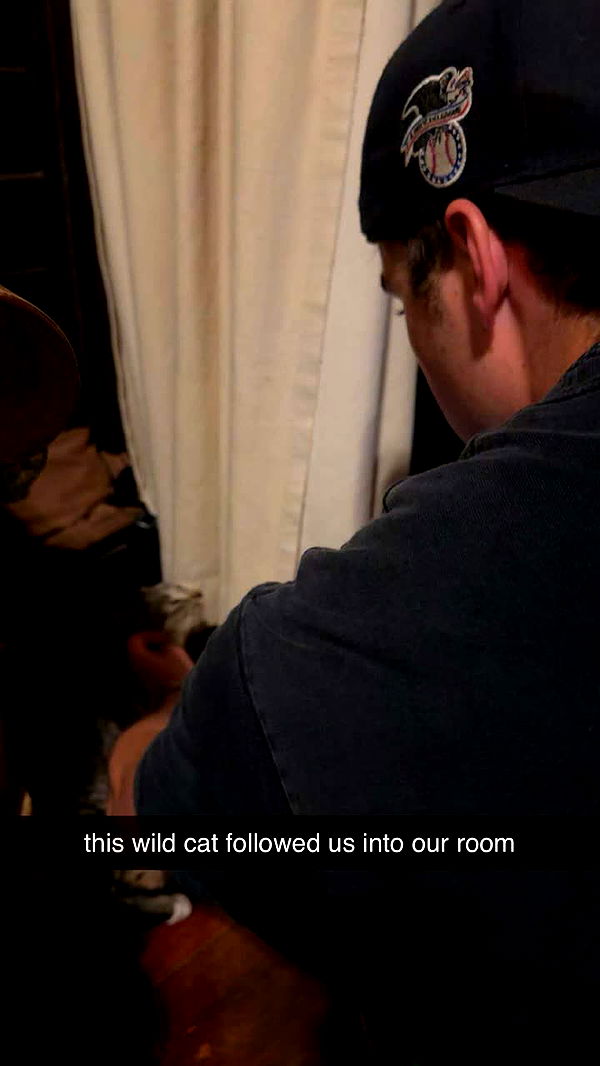 c.aitknight image ~ Altpins