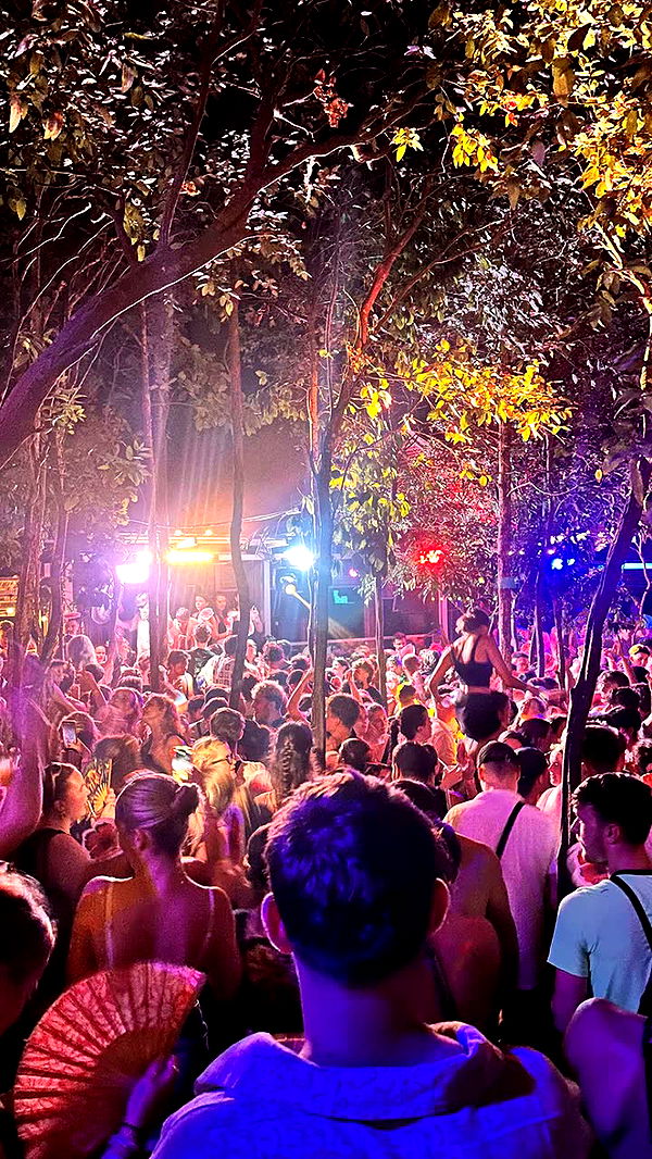 c.aitknight image ~ Altpins