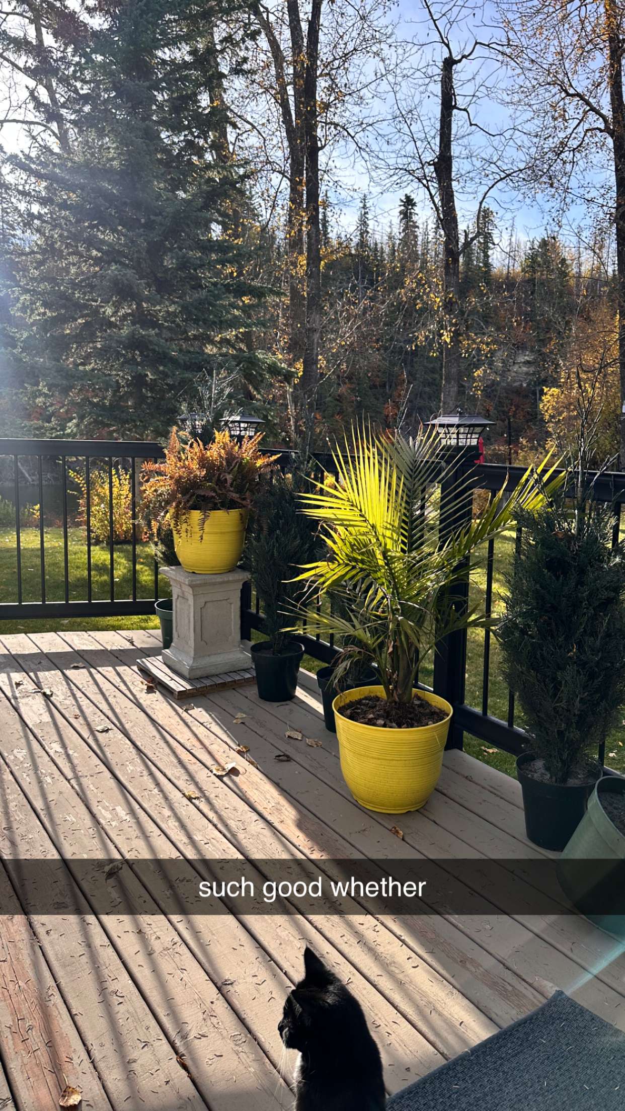 c.aitknight snapchat image archive image