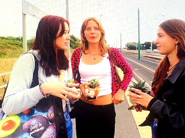 c.aitknight image ~ Altpins