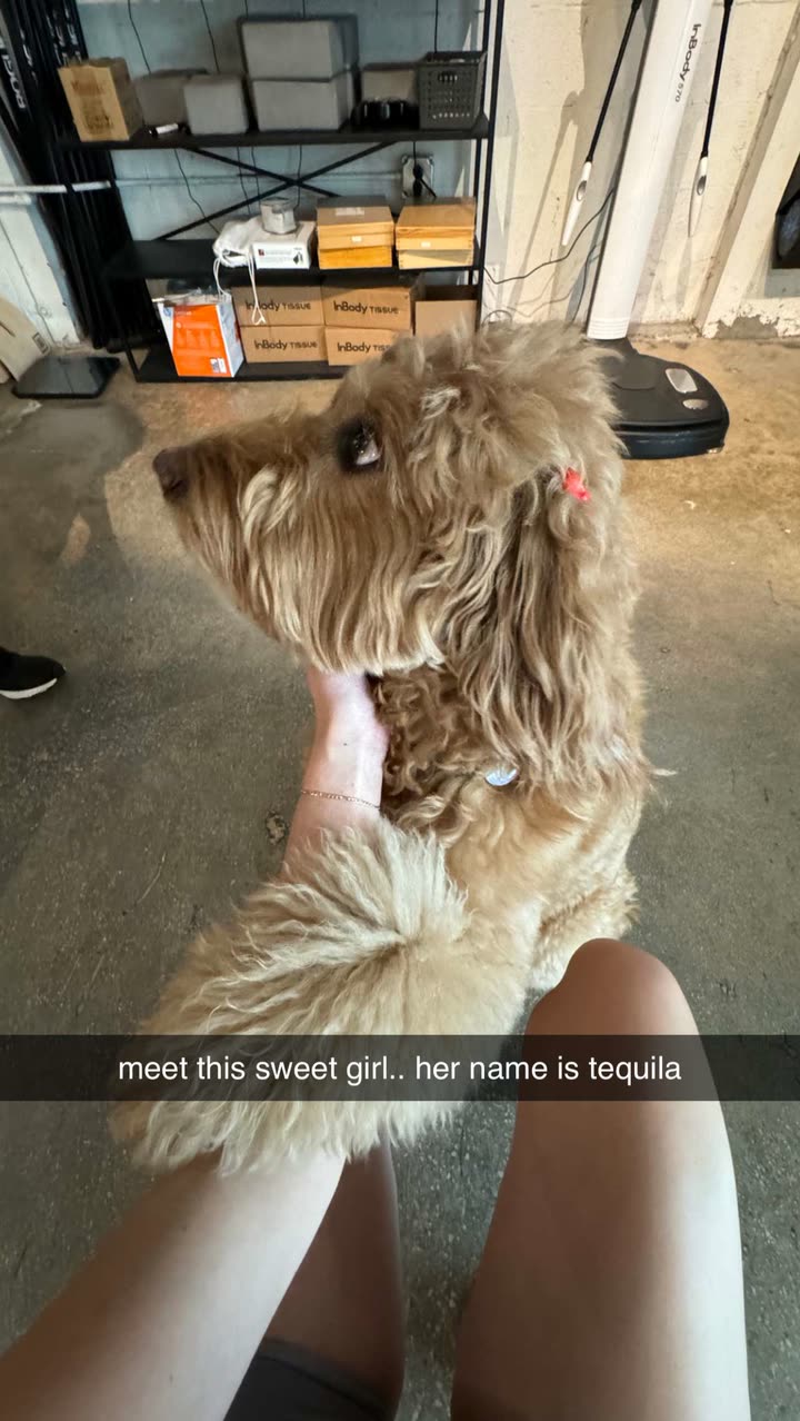 camilla_classy snapchat image archive image