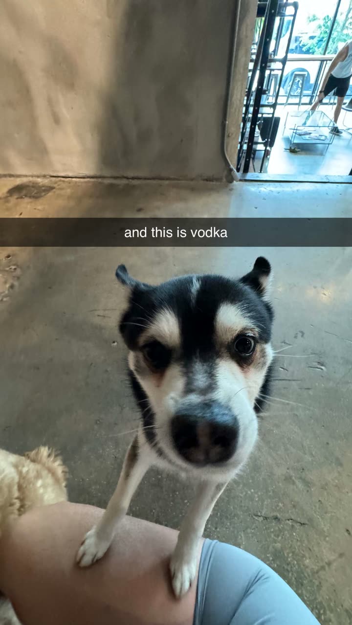 camilla_classy snapchat image archive image