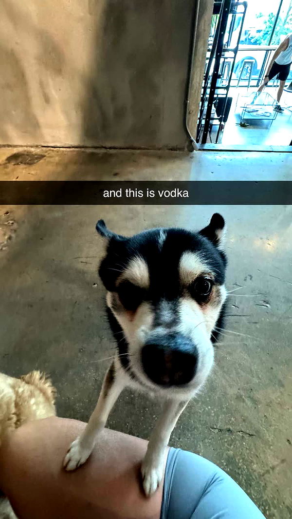 camilla_classy image ~ Altpins