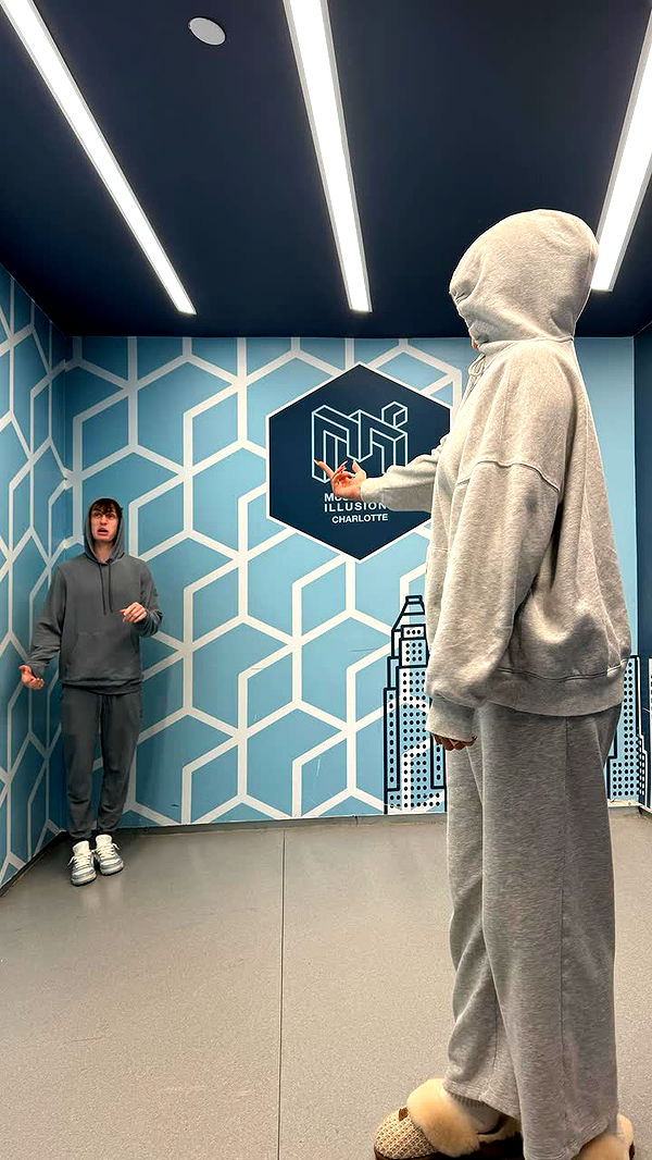 camilla_classy image ~ Altpins