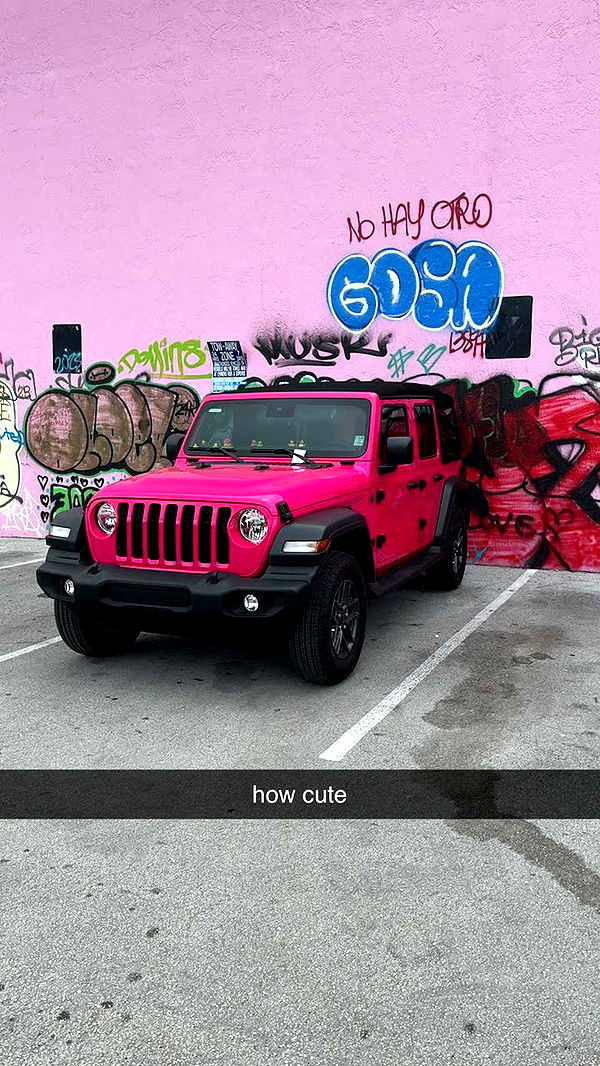 camilla_classy image ~ Altpins