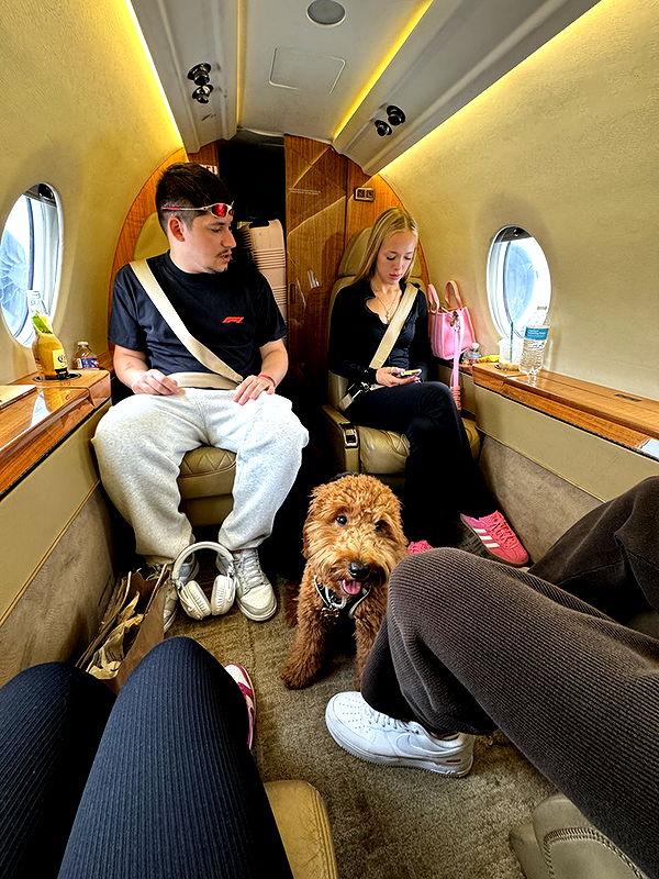 camilla_classy image ~ Altpins