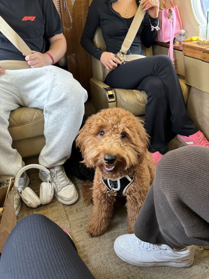 camilla_classy snapchat image archive image