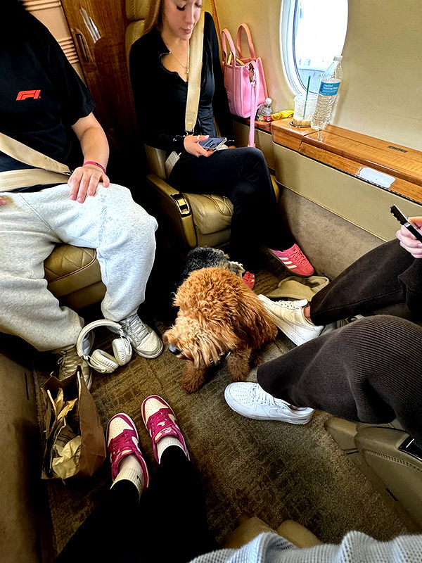 camilla_classy image ~ Altpins