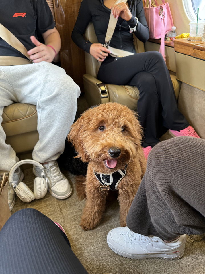 camilla_classy snapchat image archive image