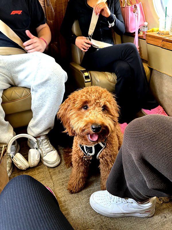 camilla_classy image ~ Altpins