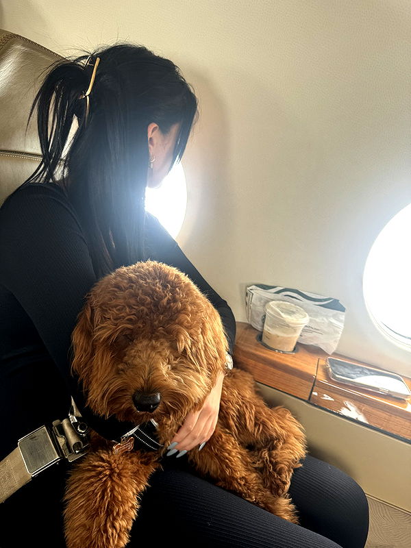 camilla_classy image ~ Altpins