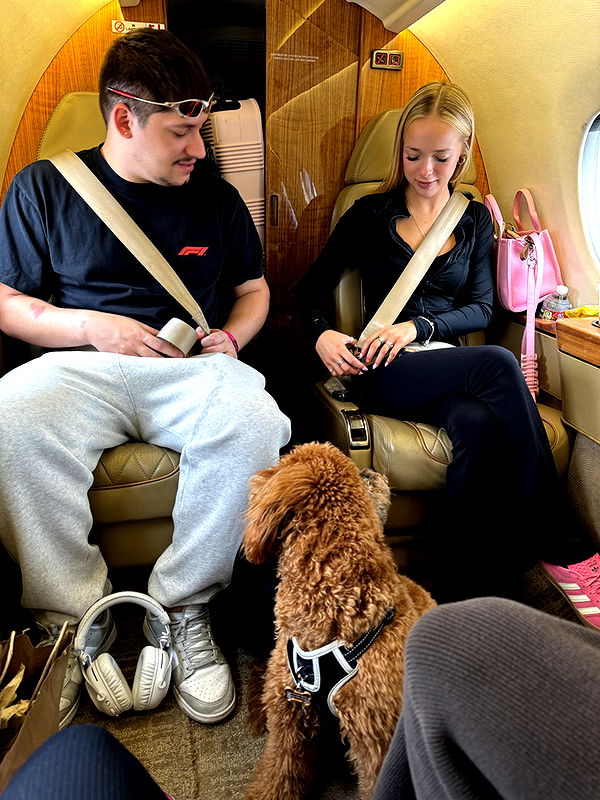 camilla_classy image ~ Altpins