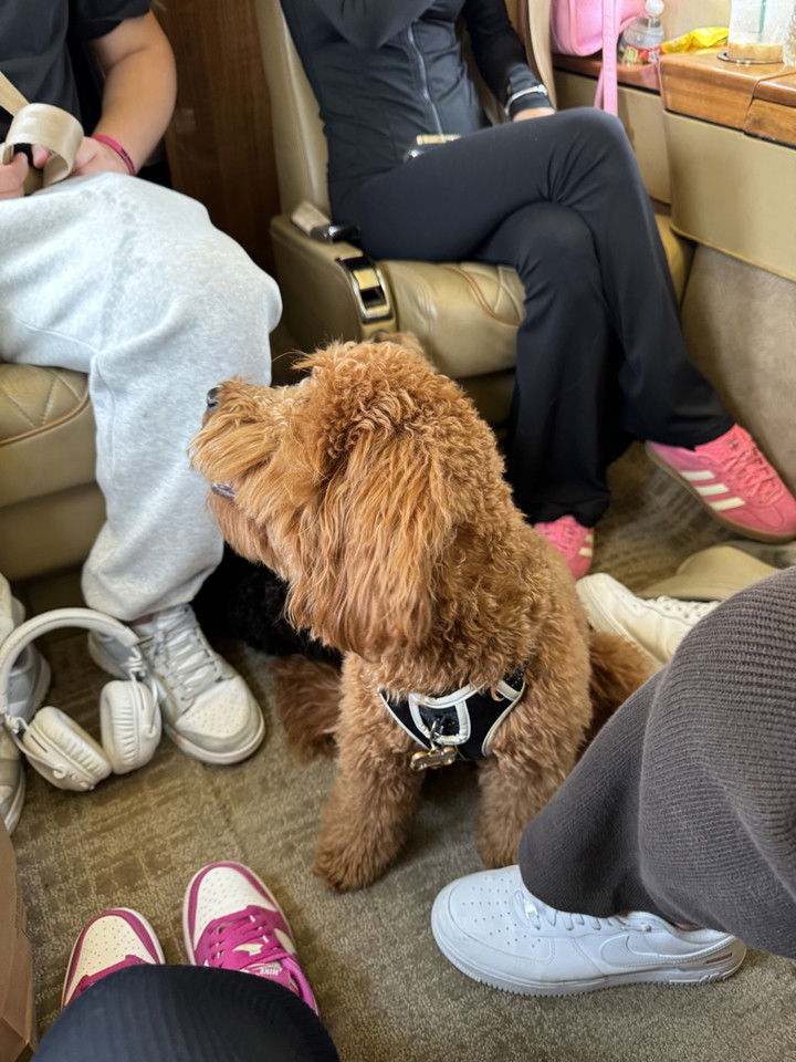 camilla_classy snapchat image archive image