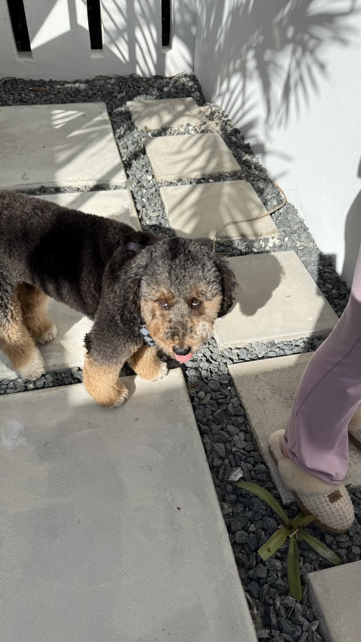 camilla_classy snapchat image archive image