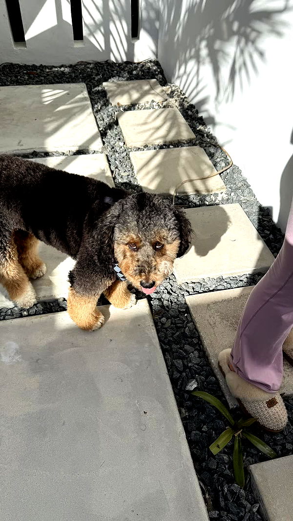 camilla_classy image ~ Altpins