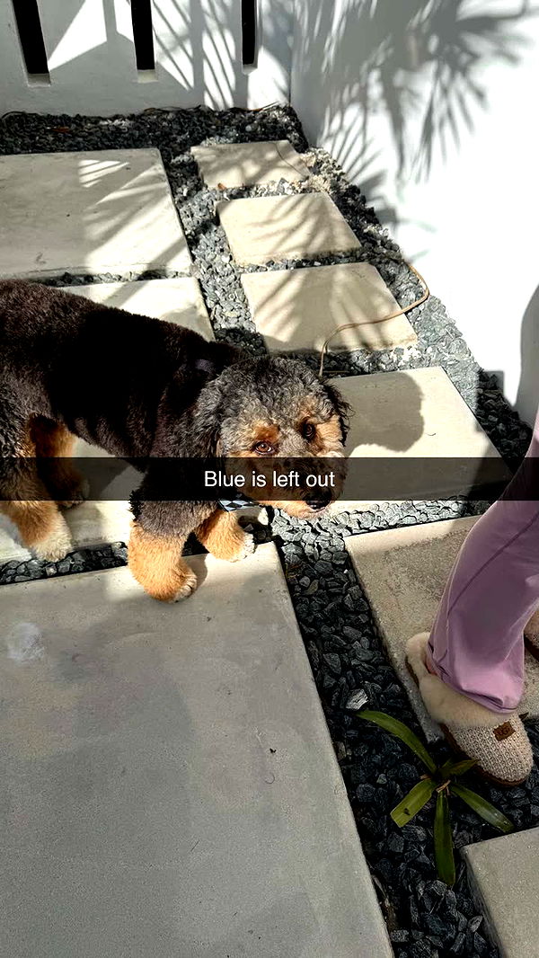 camilla_classy image ~ Altpins