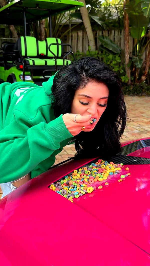 camilla_classy image ~ Altpins