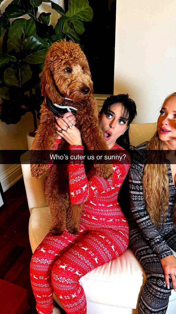 camilla_classy image ~ Altpins