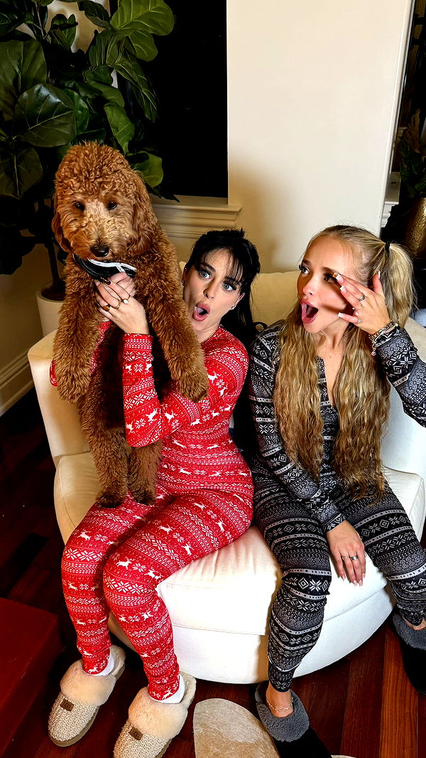 camilla_classy image ~ Altpins