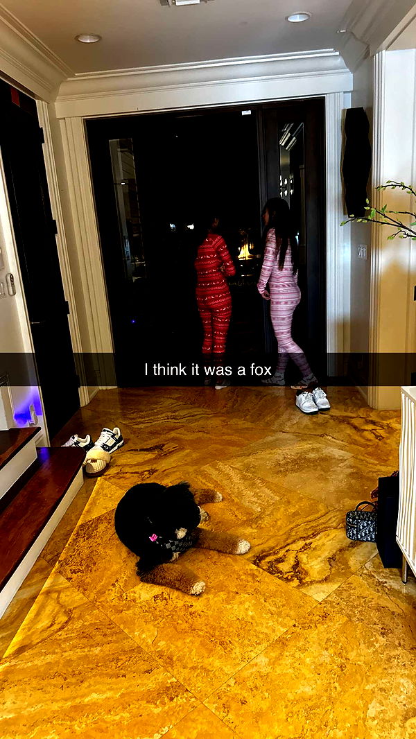 camilla_classy image ~ Altpins