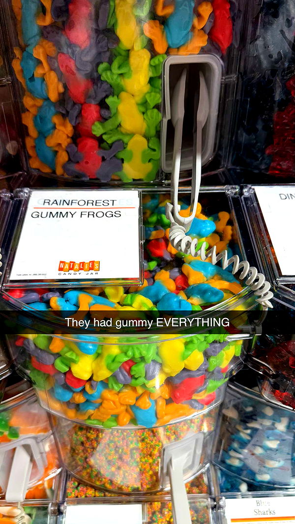 camilla_classy image ~ Altpins