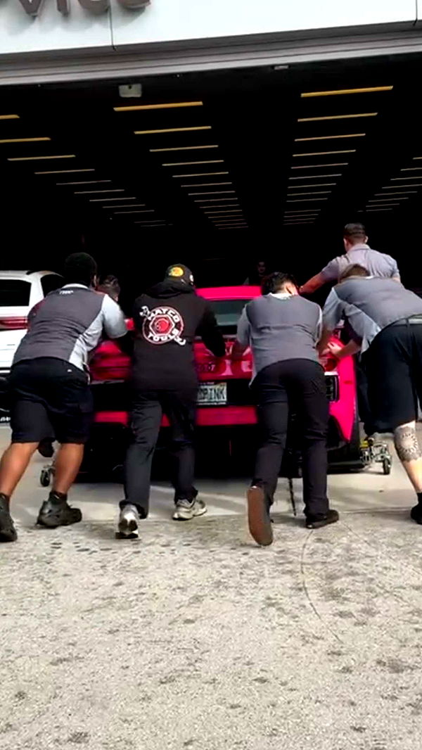 camilla_classy image ~ Altpins