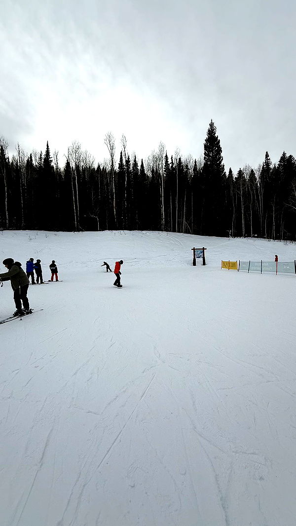 camilla_classy image ~ Altpins