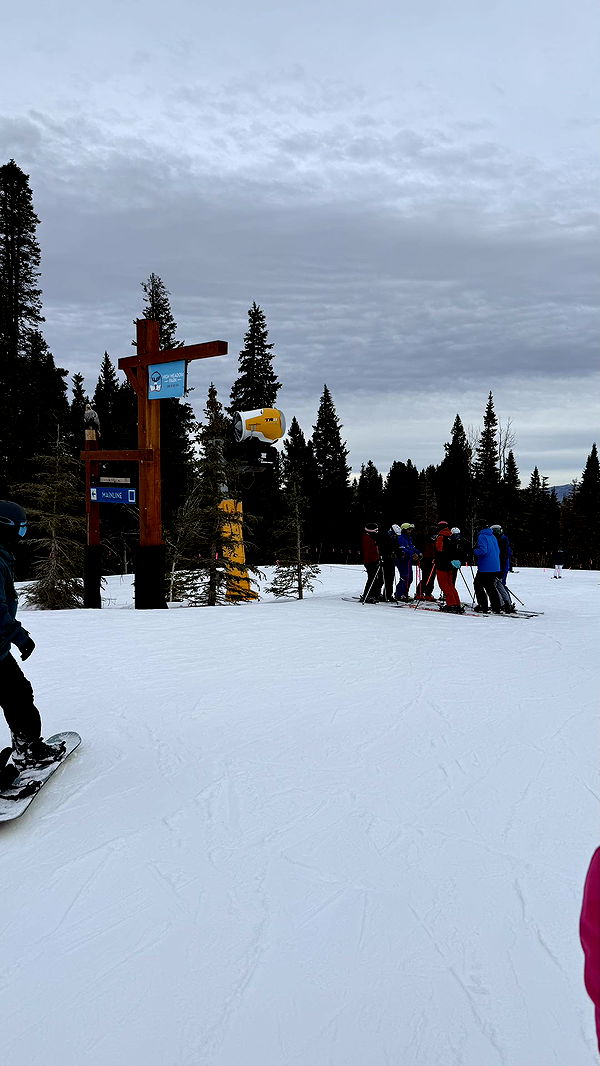 camilla_classy image ~ Altpins