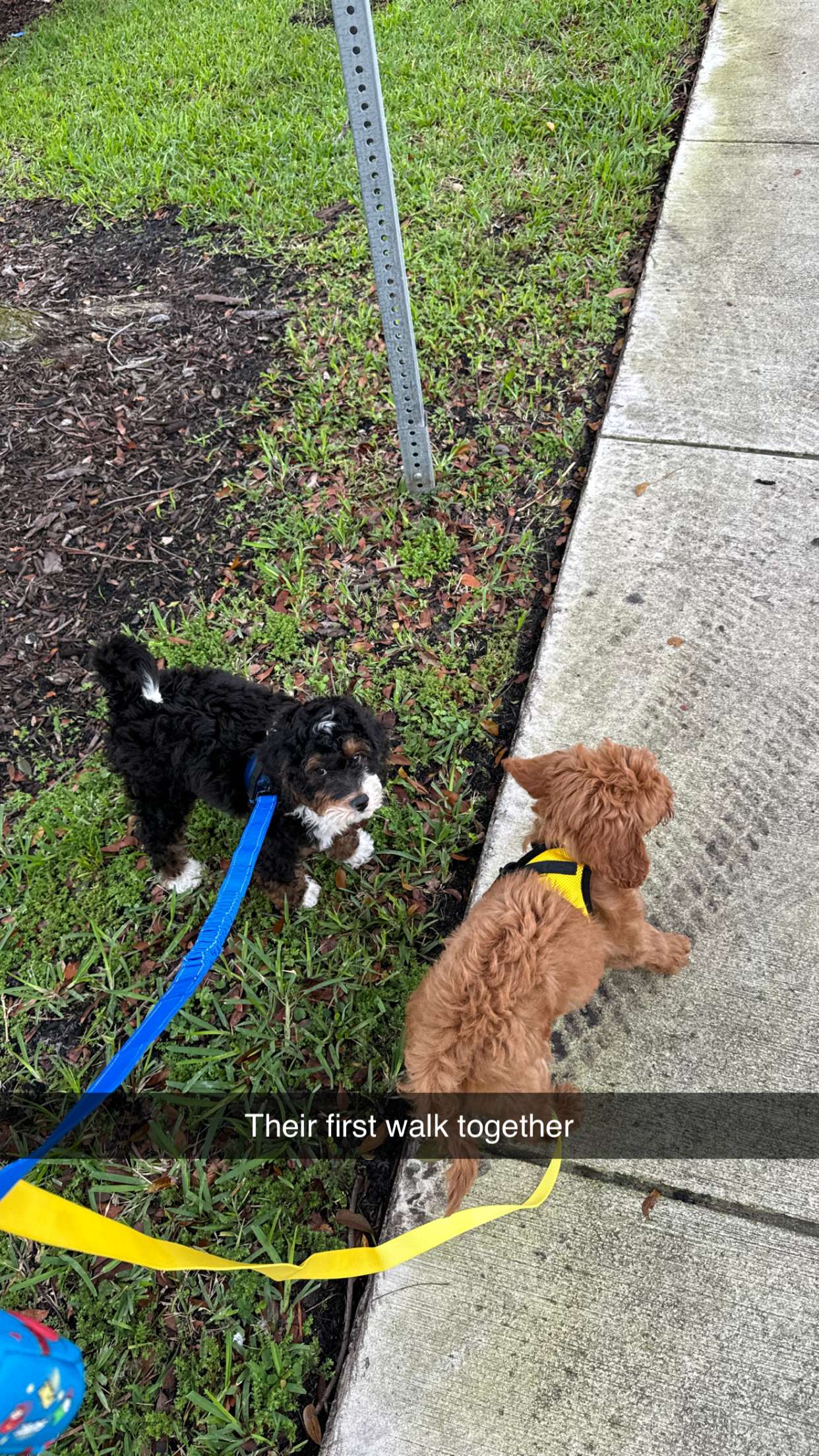 camilla_classy snapchat image archive image