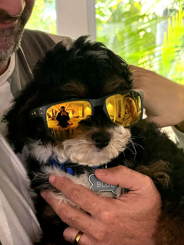 camilla_classy image ~ Altpins