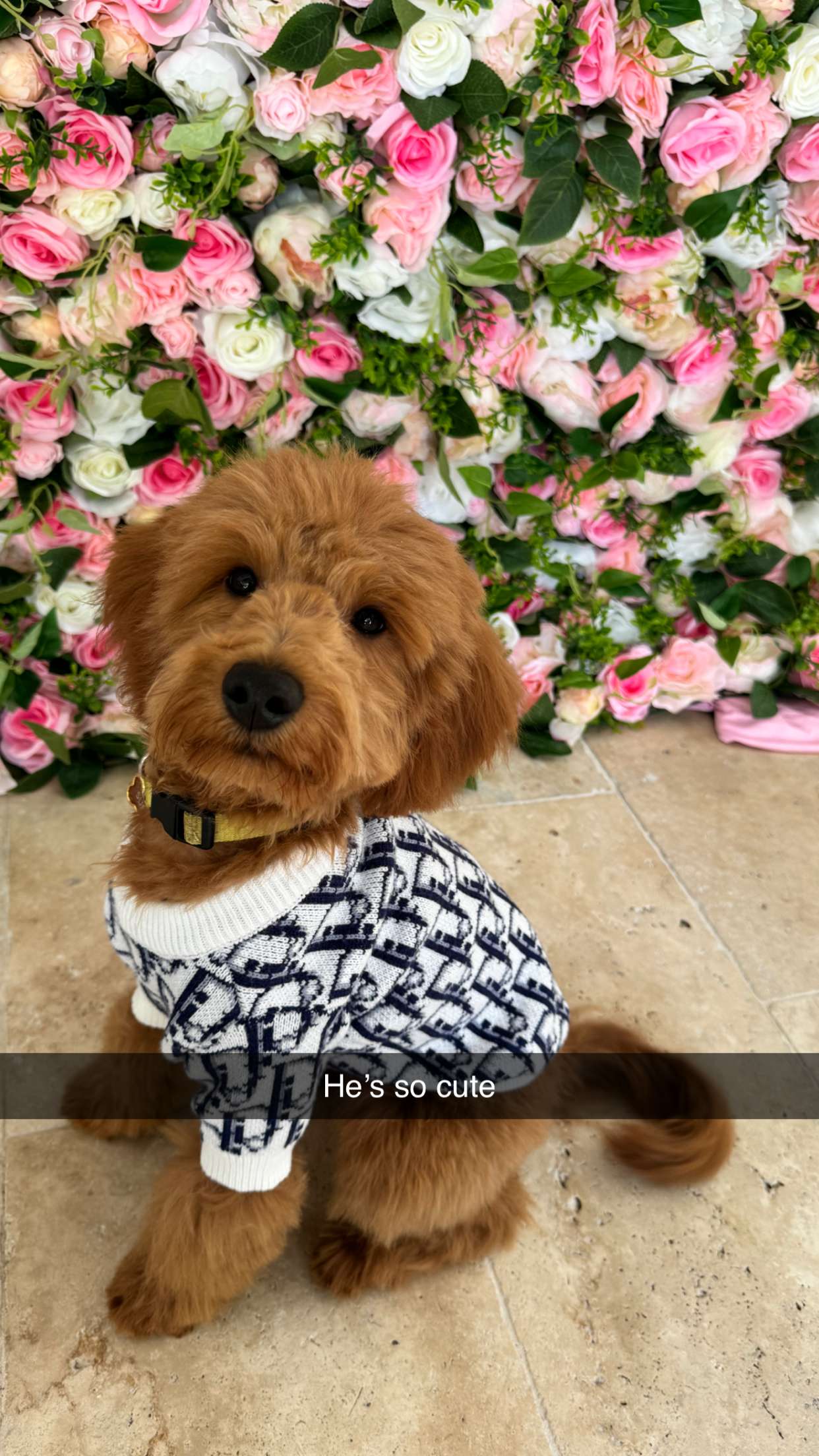 camilla_classy snapchat image archive image