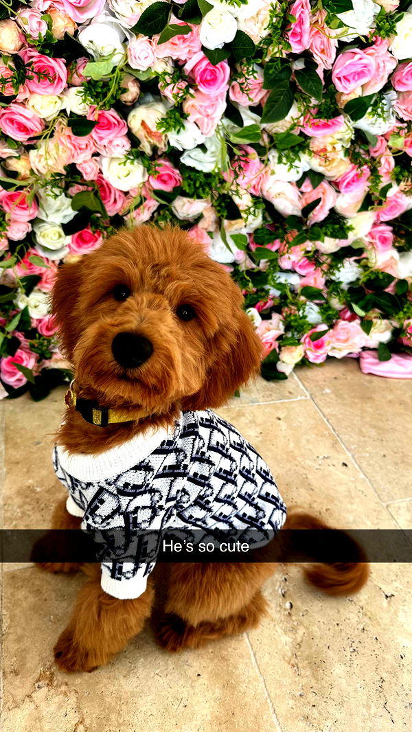 camilla_classy image ~ Altpins