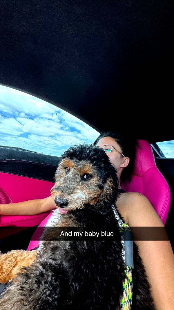 camilla_classy image ~ Altpins